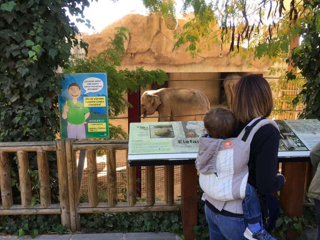 mochila portabebe tula toddler